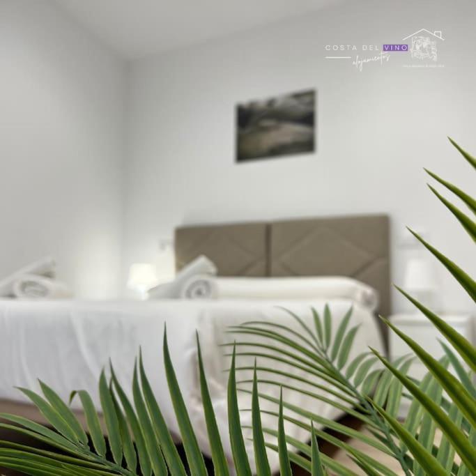Apartamento El Mozo Лабастида Экстерьер фото
